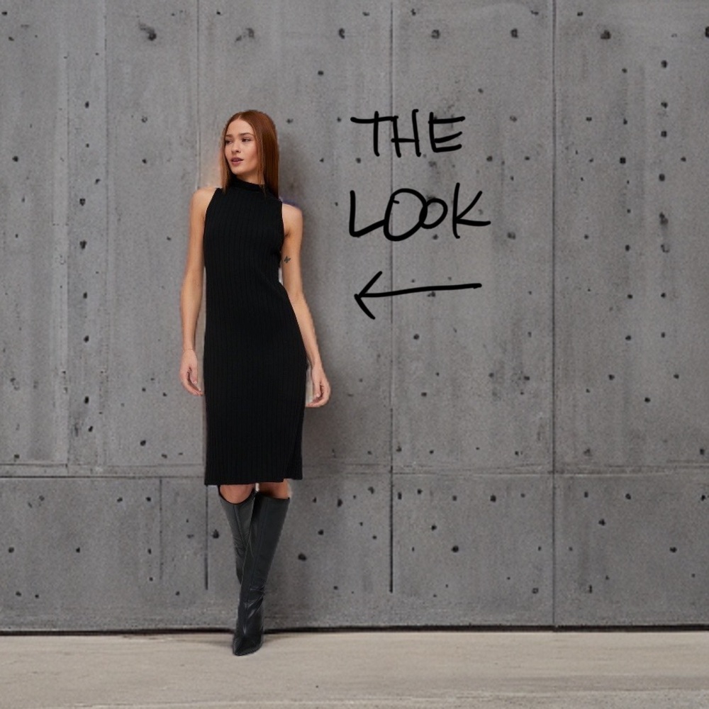 Fitted Turtle Neck Sleeveless Dress